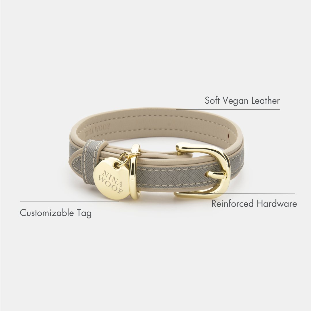 London Vegan Leather Dog Collar, lifestyle view
