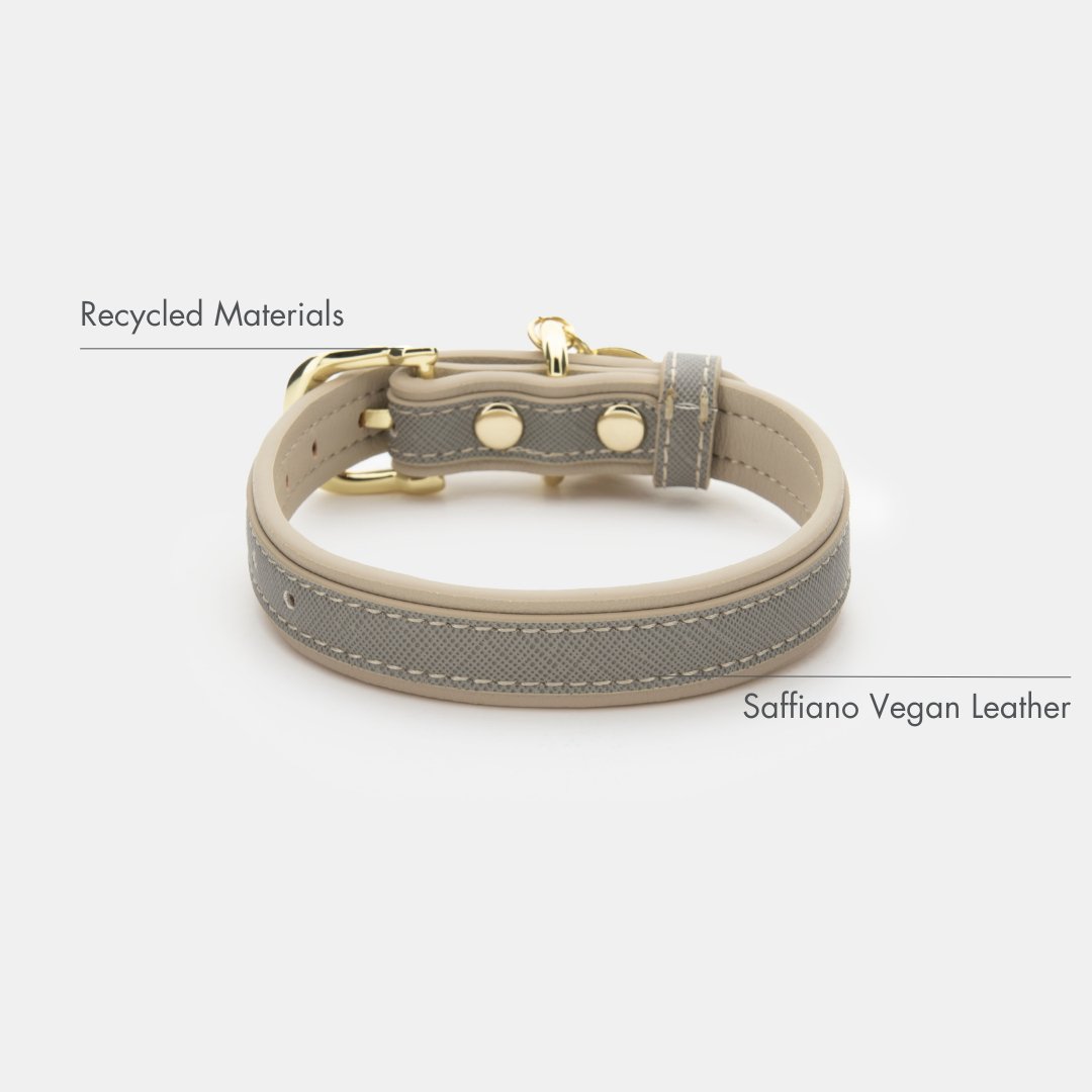 London Vegan Leather Dog Collar, lifestyle view