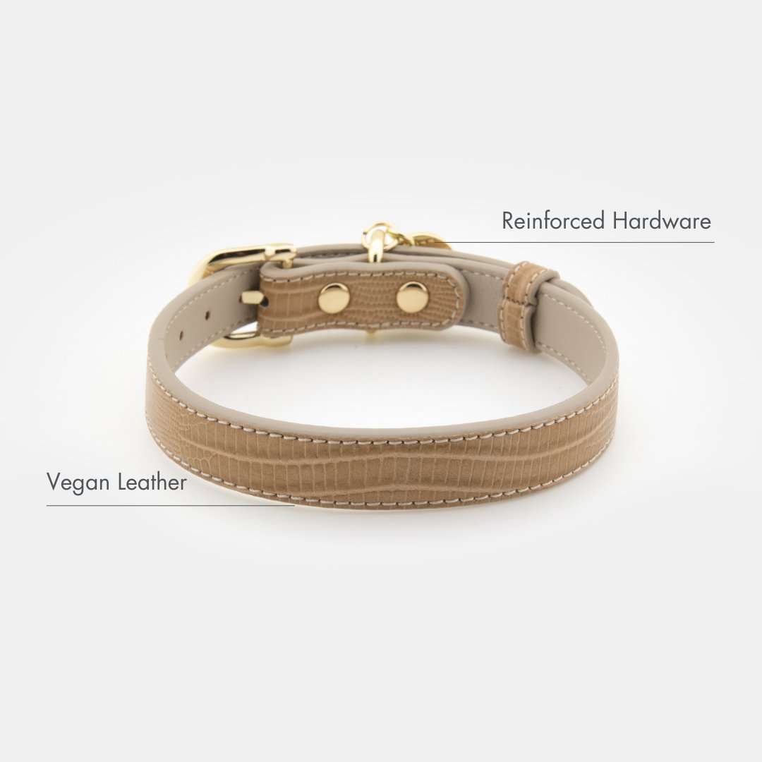 Milan Vegan Leather Dog Collar, lifestyle view