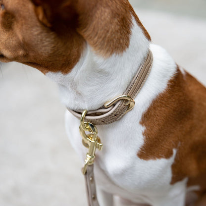 Milan Vegan Leather Dog Collar, lifestyle view