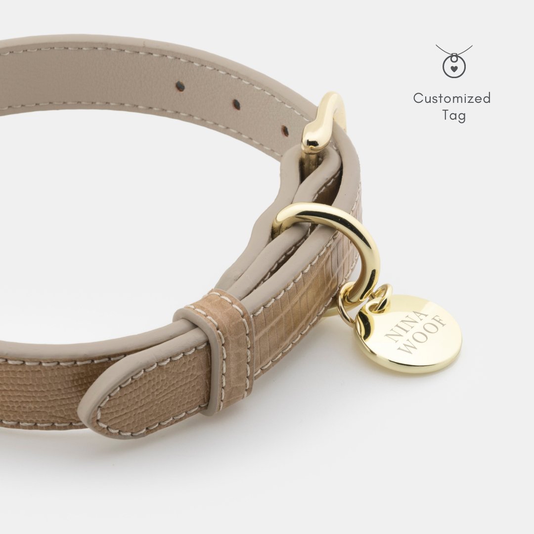 Milan Vegan Leather Dog Collar, lifestyle view