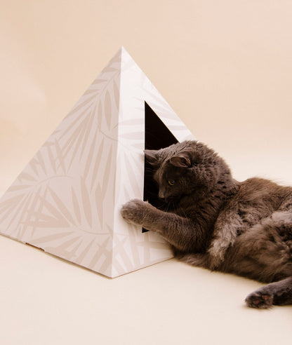 Neutral Palm cardboard cat pyramid, fifth view