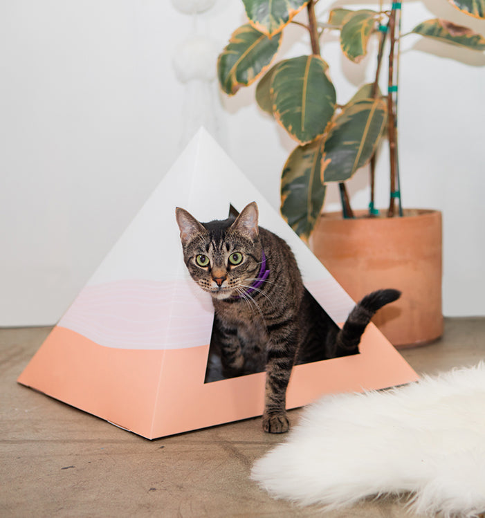Wavey cardboard cat pyramid, product view
