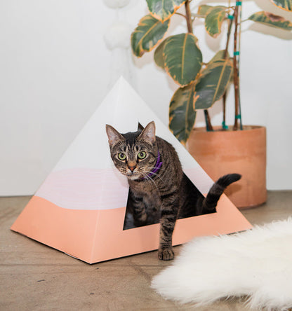 Wavey cardboard cat pyramid, product view