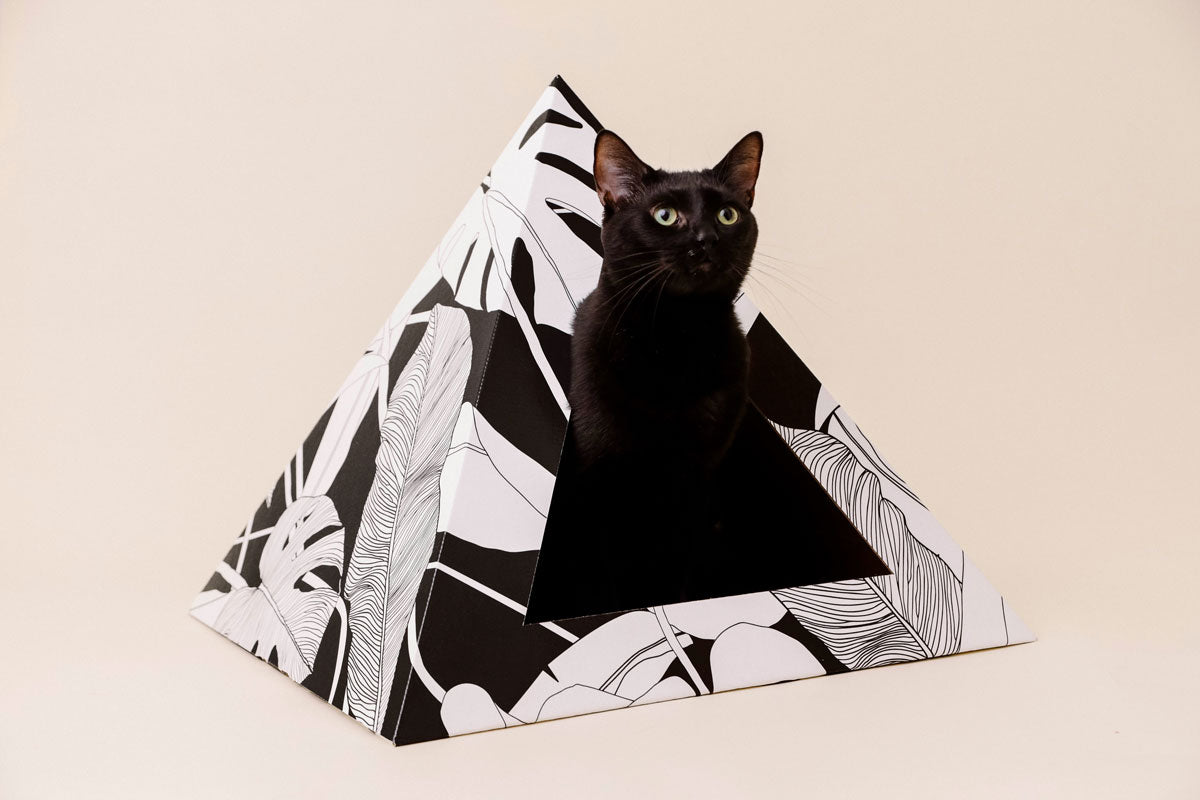 Dark Paradise cardboard cat pyramid, leaf print