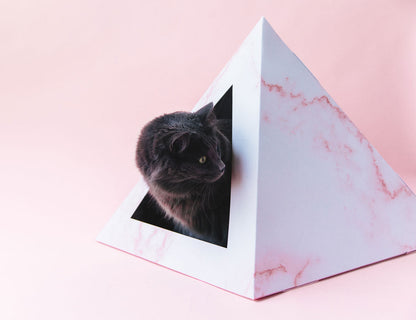 Rose Quartz cardboard cat pyramid, fourth view