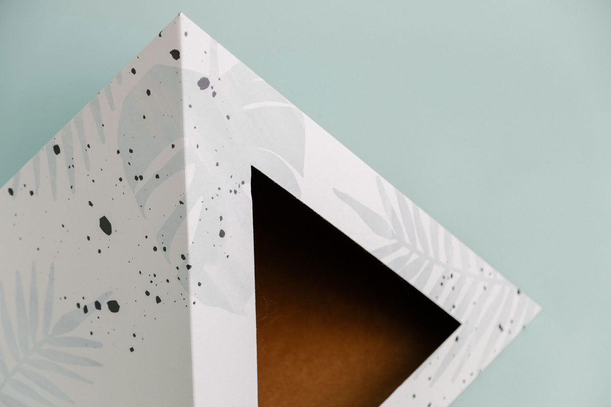 Oasis cardboard cat pyramid, sixth view