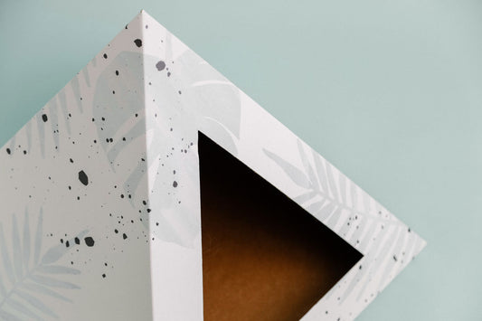 Oasis cardboard cat pyramid, sixth view