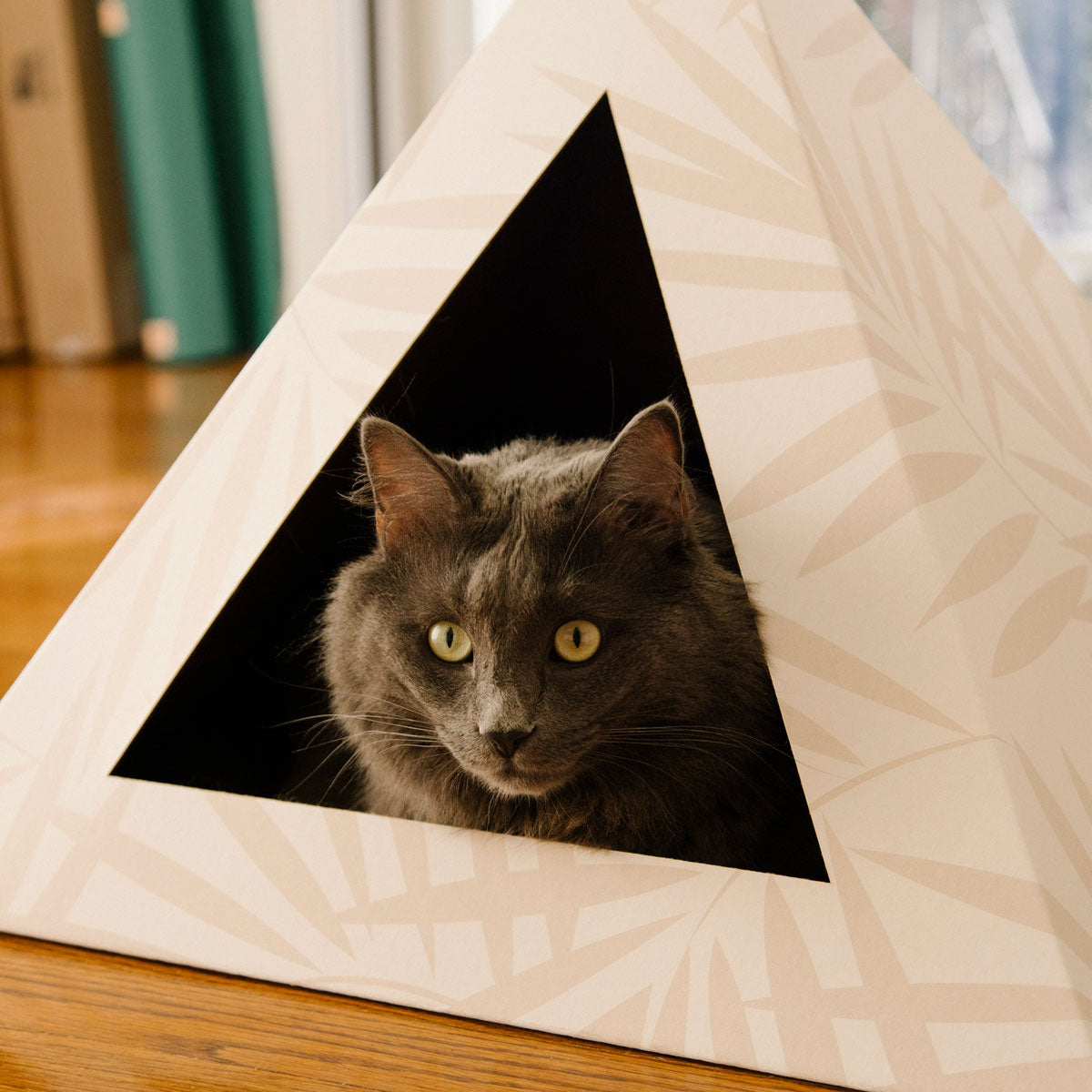Neutral Palm cardboard cat pyramid, fourth view