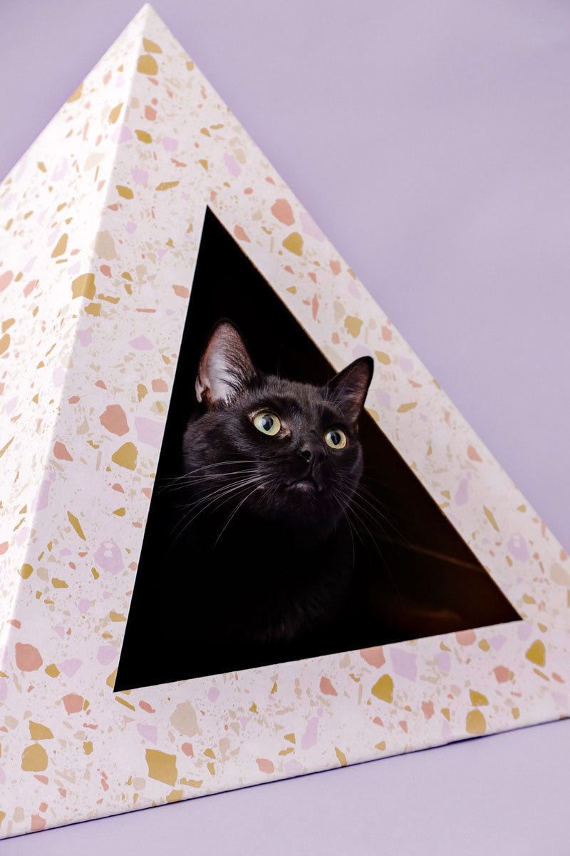Terrazzo cardboard cat pyramid, fifth view