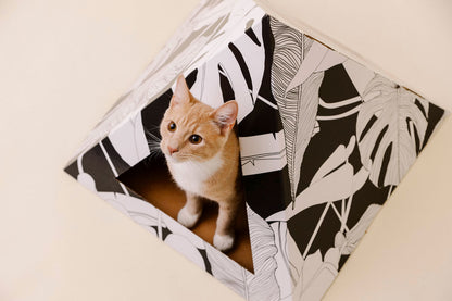 Dark Paradise cardboard cat pyramid, sixth view