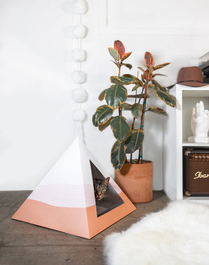 Wavey cardboard cat pyramid, third view