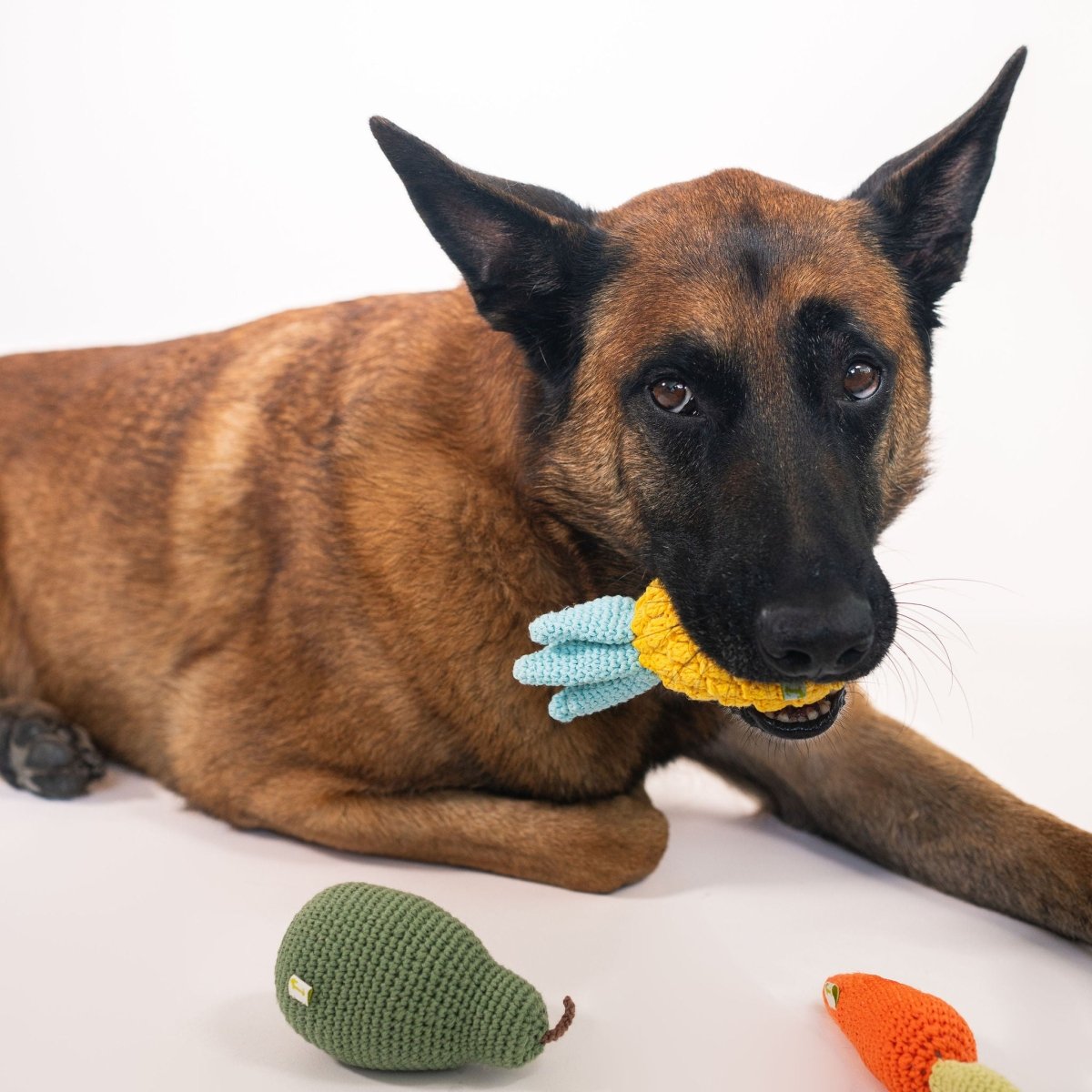 Organic Veggie Toys Bundle, product view 4