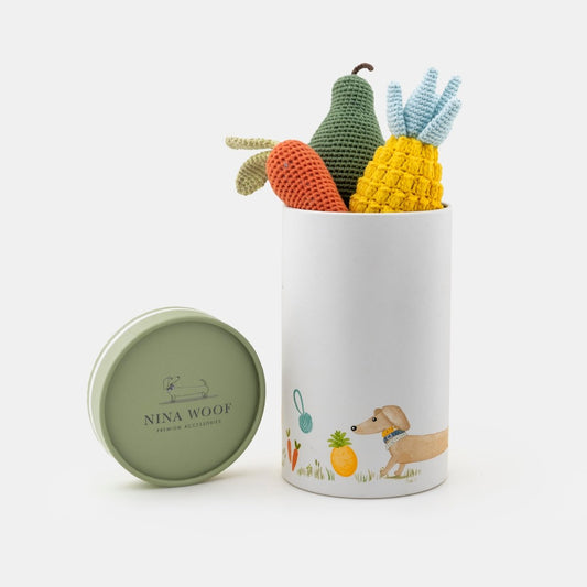 Organic Veggie Toys Bundle with carrot, pear, and pineapple toys
