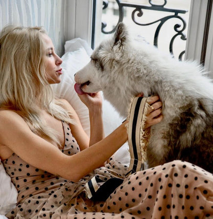 City dog leash fur, lifestyle view