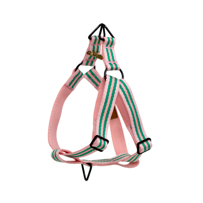 Dog harness in Rue La Rose colourway, product view
