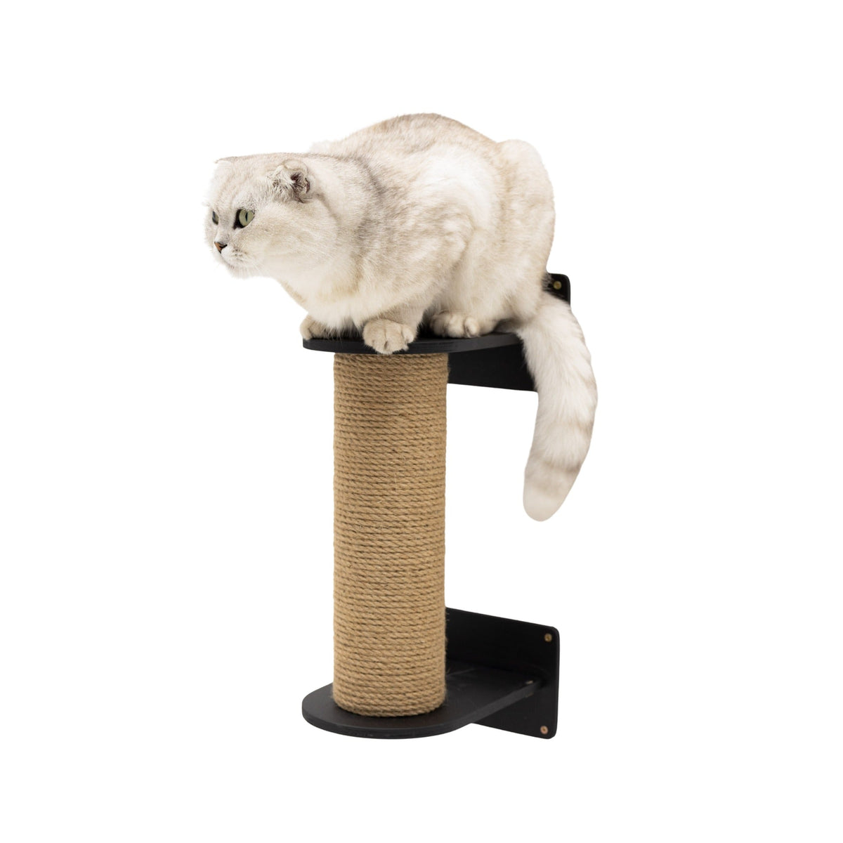 Small Cat Tree in black finish