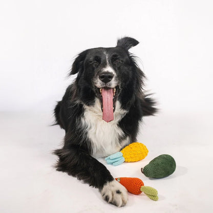 Organic Veggie Toys Bundle, product view 3